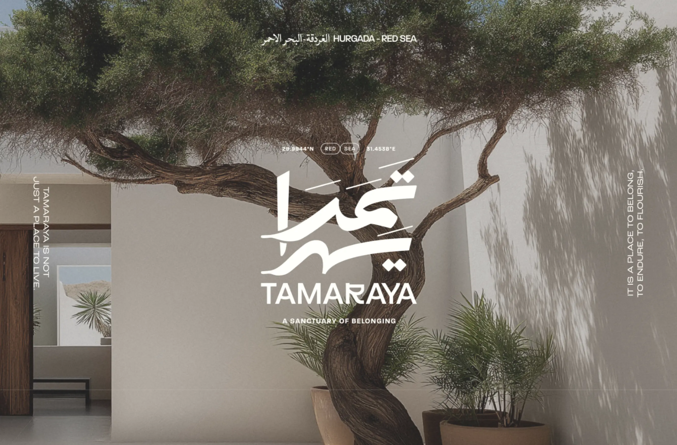 Tamaraya — coastal lifestyle and landscape on the Red Sea